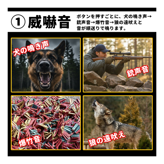 photo2