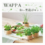 WAPPA 和っ葉栽培セット　GD-8956
