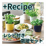 +Recipe レシピ付き栽培セット GD-591