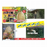 盗撮・防犯探知機 POKE-TAN　SY-128