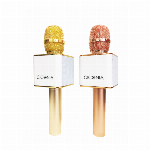 CICONIA　カラオケミュージックマイク　WMP-001