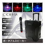 CICONIA ポータブルスピーカー TY-1800