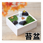 染付小紋　薬味小鉢　栽培キット　GD-758