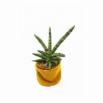 【鉢3号サイズ】日本製 ポットカバー プランターカバー 鉢カバー 花瓶 鉢  ニット 観葉植物 ガーデニング