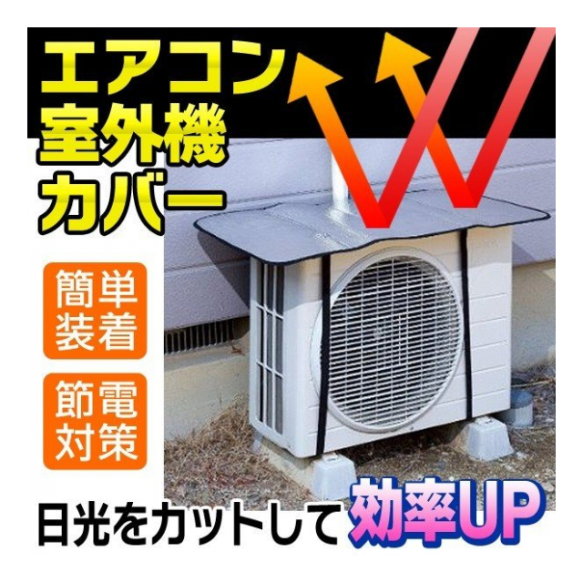 photo5
