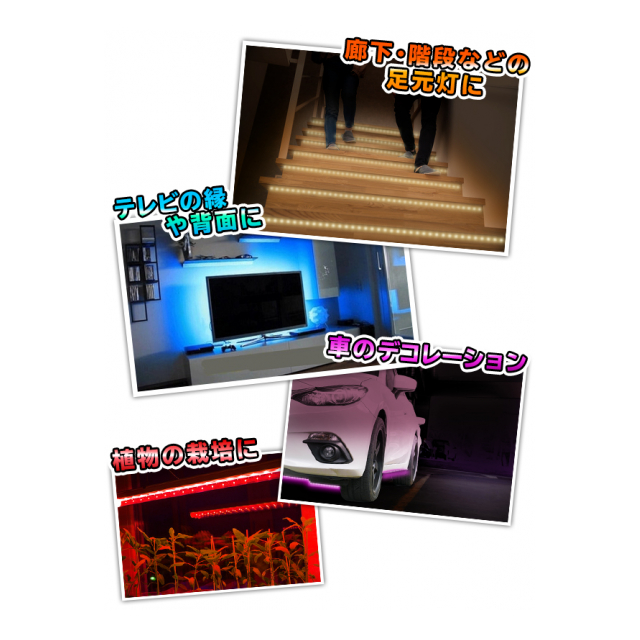 photo5