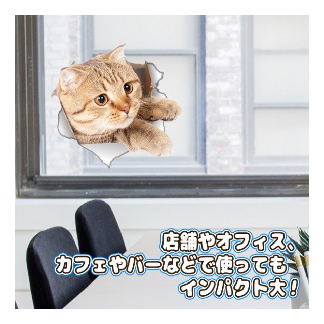 photo6