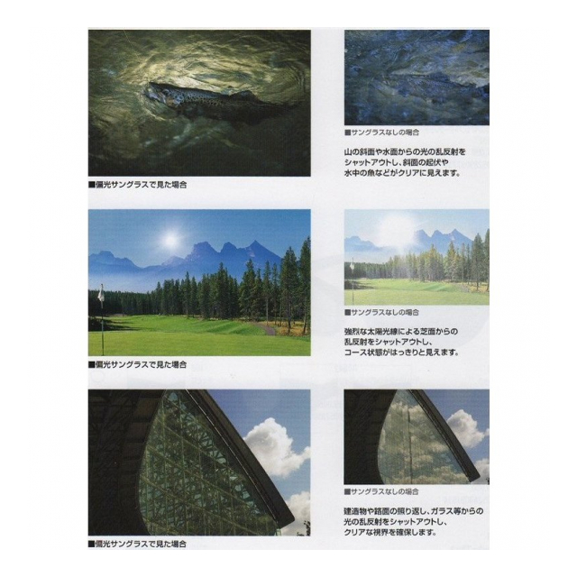 photo5