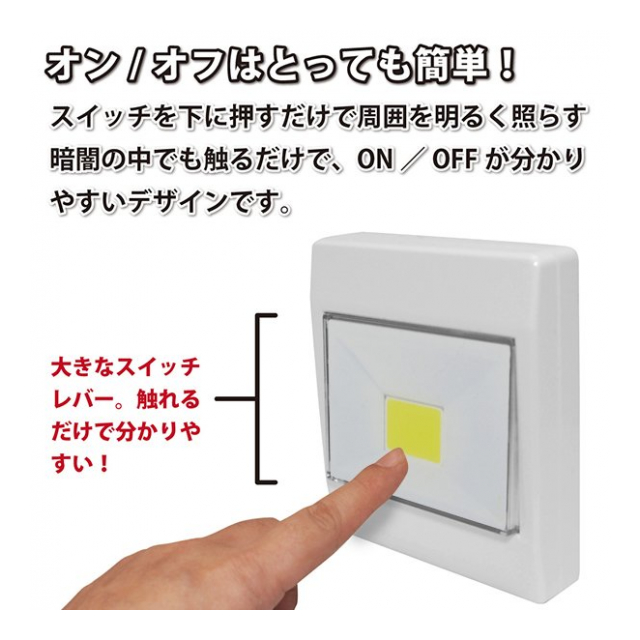 photo2