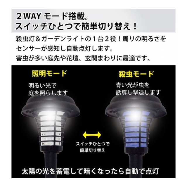 photo3