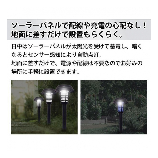 photo4