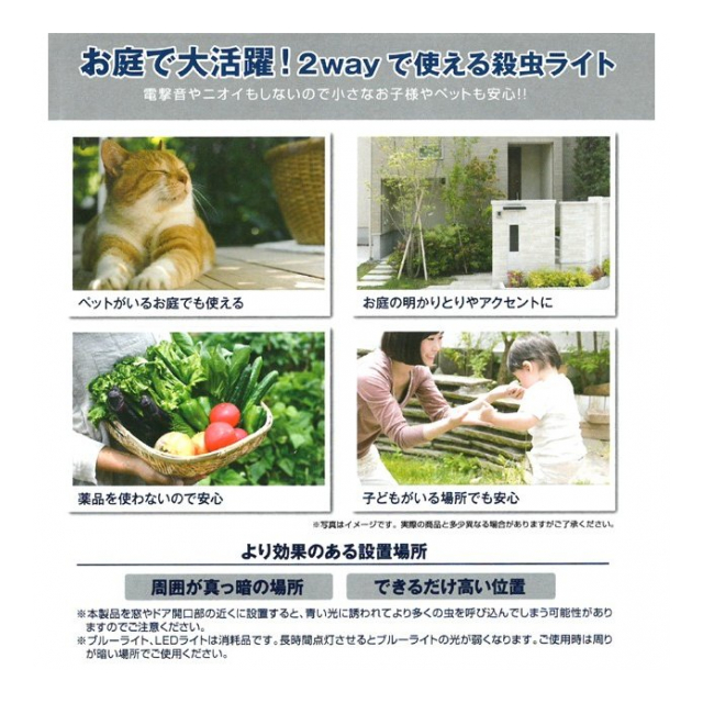 photo7