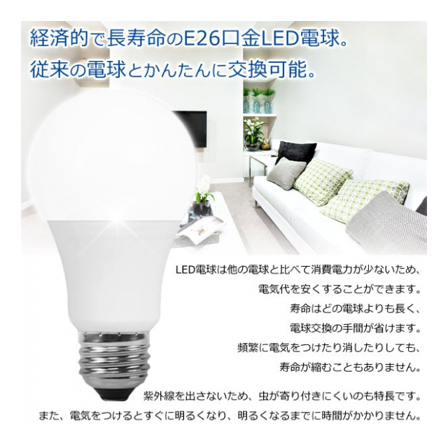 photo2