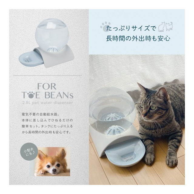 ペット給水器 2 8l 電源不要 犬猫 給水器 ウォーターサーバー 水やり器 ペット用 ウォーターディスペンサー いぬ ねこ 水飲み ウォーターボウル ペット用品 ペット給水器m 卸プライス Jp 品番 Petkyuusuikim の卸 問屋 仕入れ 卸売り ザッカネット