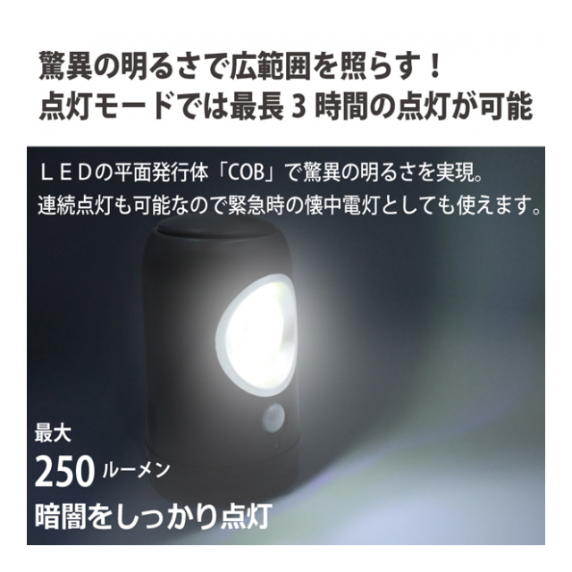 photo3