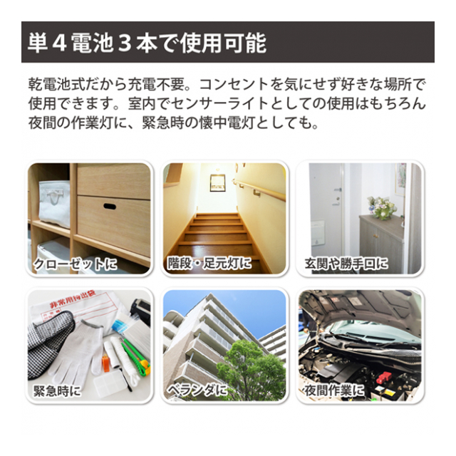 photo5