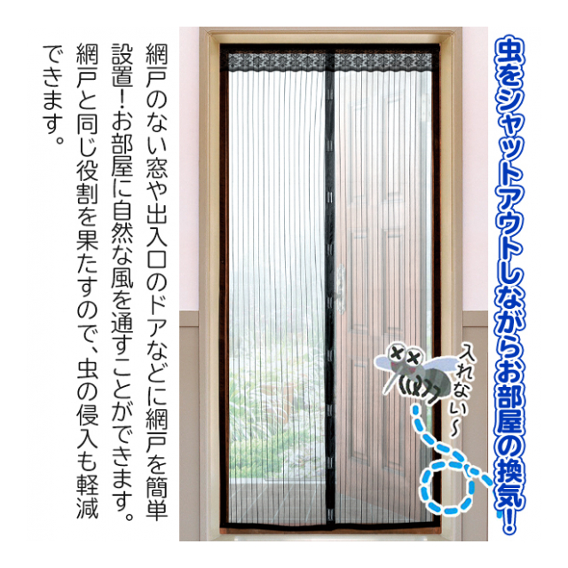 photo2