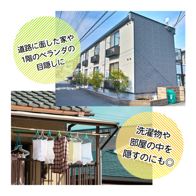 photo4