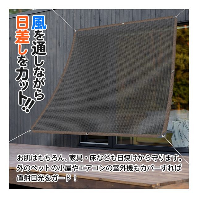 photo2