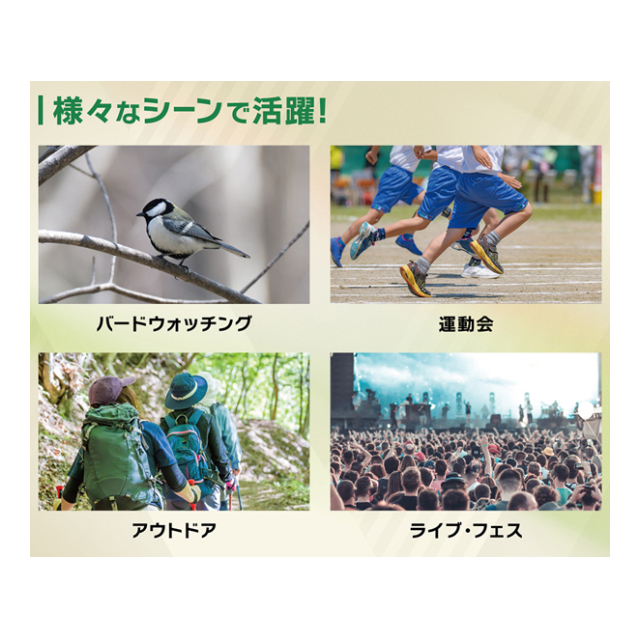 photo6