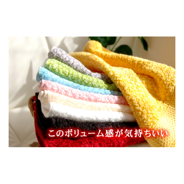 photo2