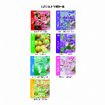 7種類のバスソルト