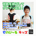 【 納品時期未定 】 せのび?るキッズ ジュニアサイズ