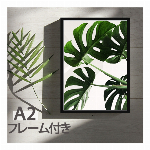 アート インテリアアートポスター モンステラ