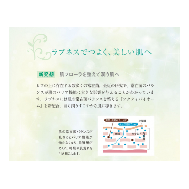 photo4