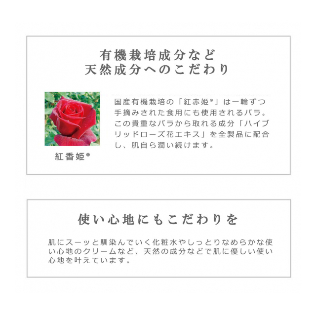 photo3