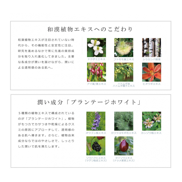 photo5