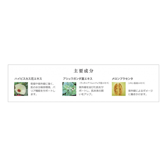 photo2