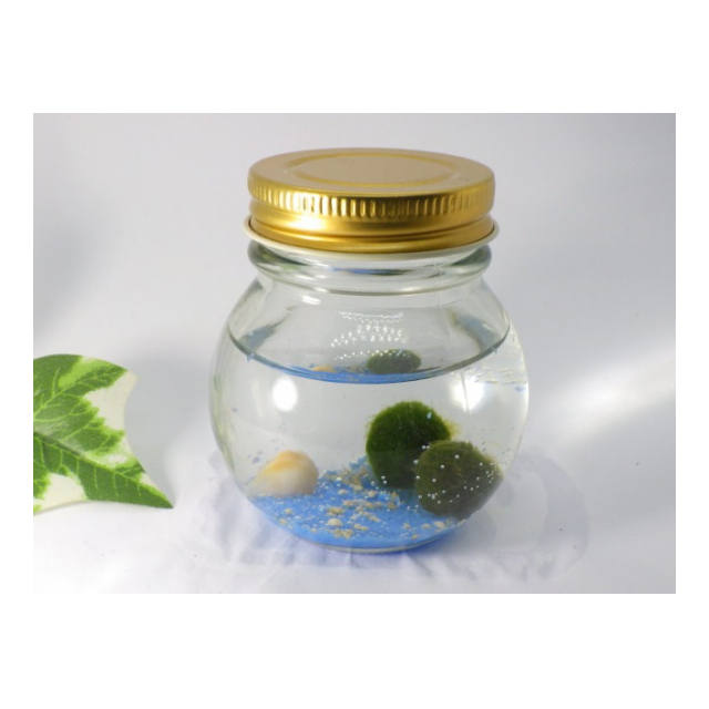 星の砂マリモ瓶 青 レンプロ 品番 Marimo A の卸 問屋 仕入れ 卸売り ザッカネット