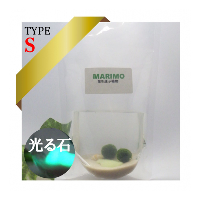 まりも（マリモ）Sパック - レンプロ [品番：marimo-p-s] の卸・問屋・仕入れ・卸売り【ザッカネット】