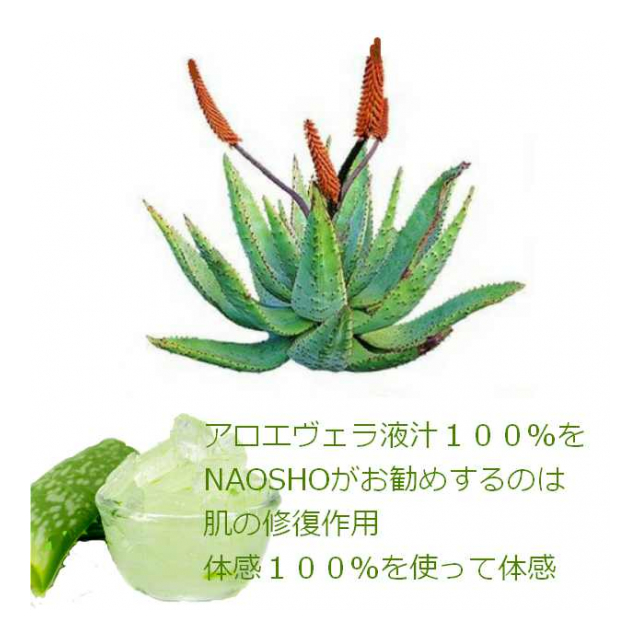 photo4