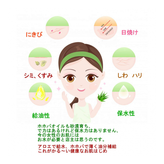アロエベラ液汁９９％使用　アロエベラジェル