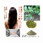 アミノ酸系シャンプー　アユール然シャンプー２００ｍｌ