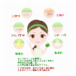 ハイビスカス花エキス配合　ヘアオイル業務用