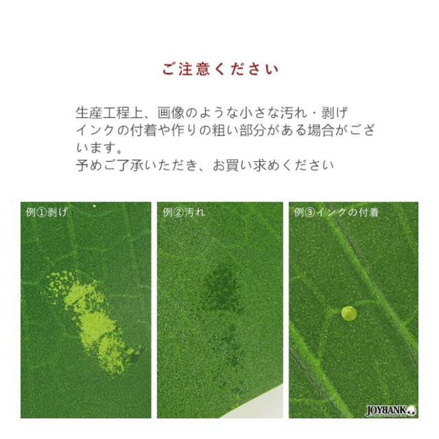 photo7