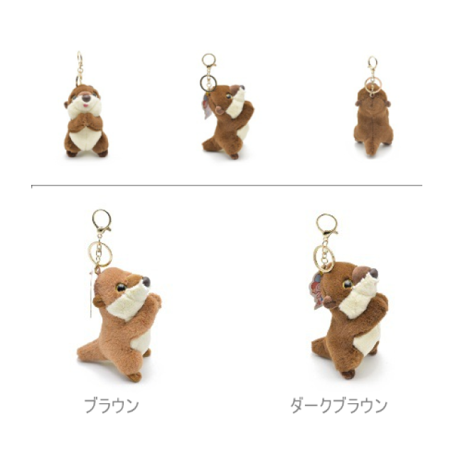 photo5