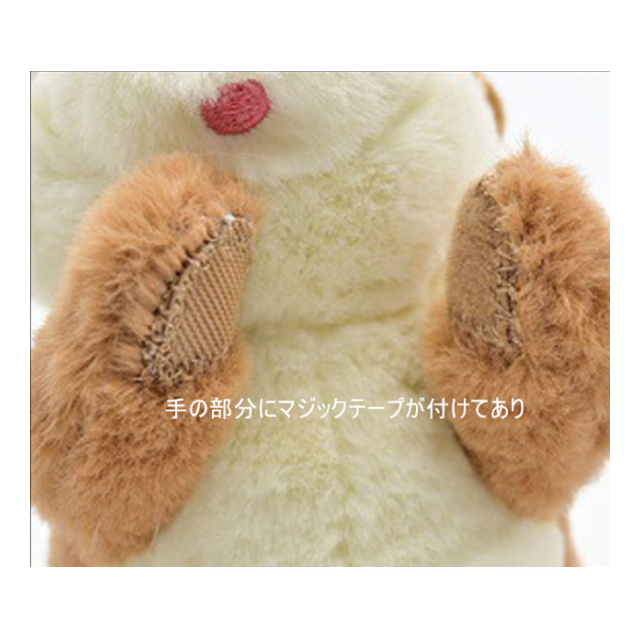 photo6