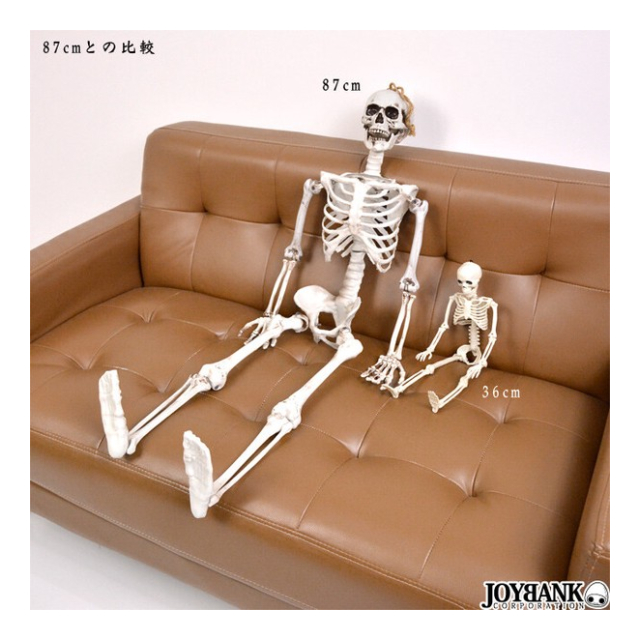 骸骨 フィギュア（36cm） 【おもちゃ/ガイコツ/どくろ