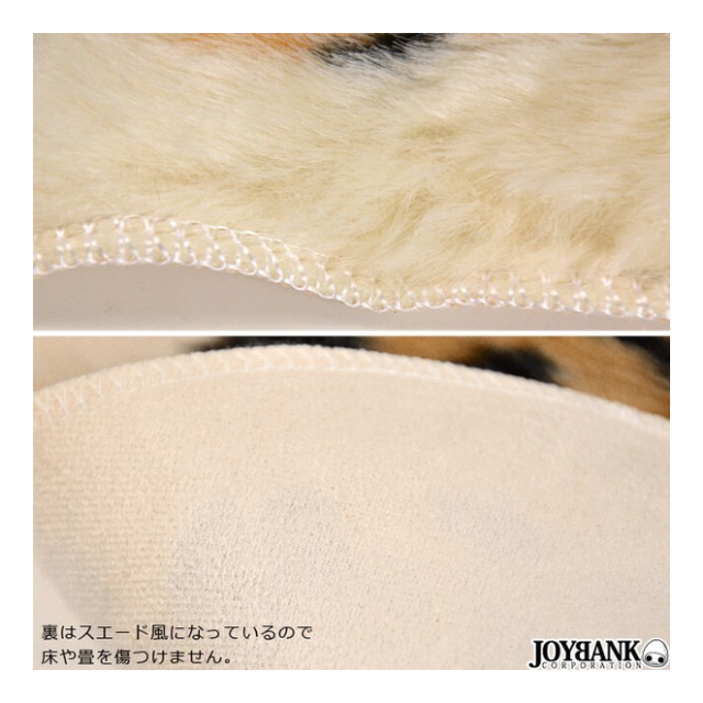 photo7