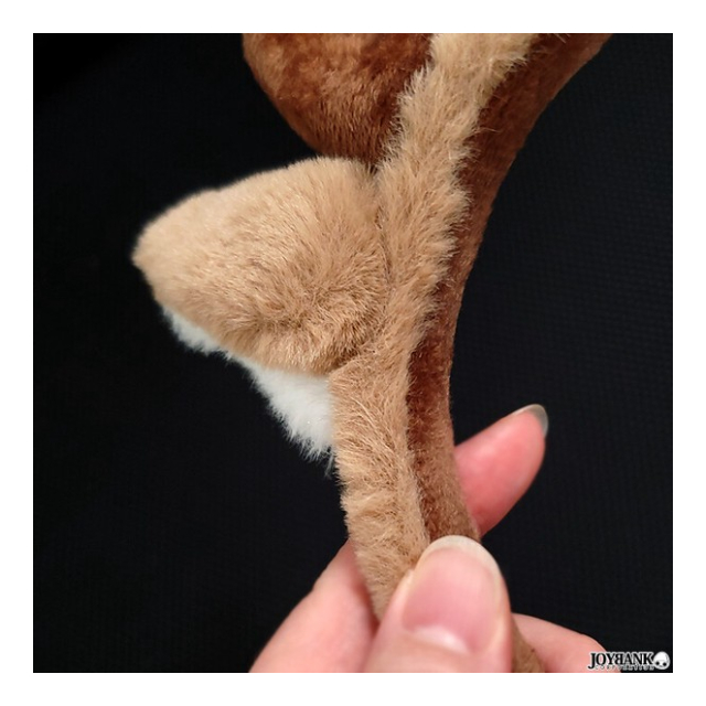 photo7