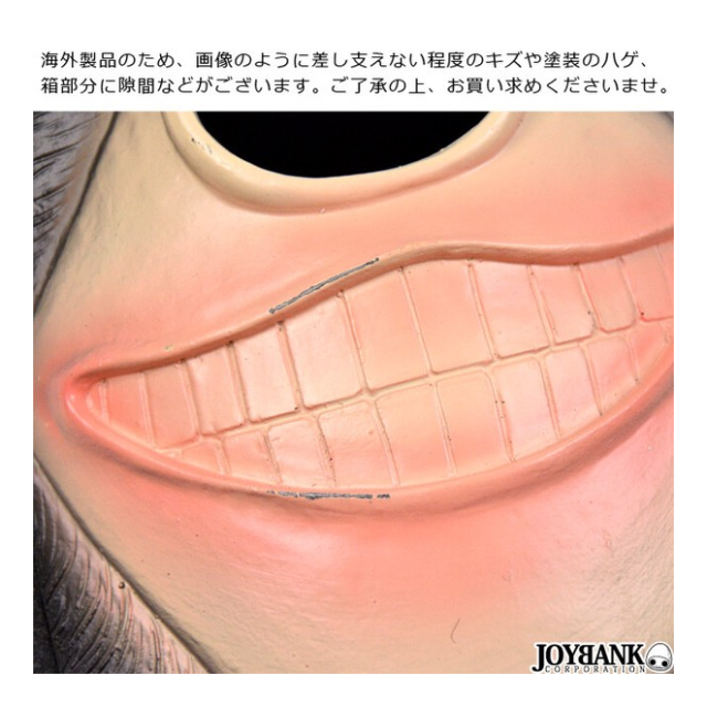 photo6