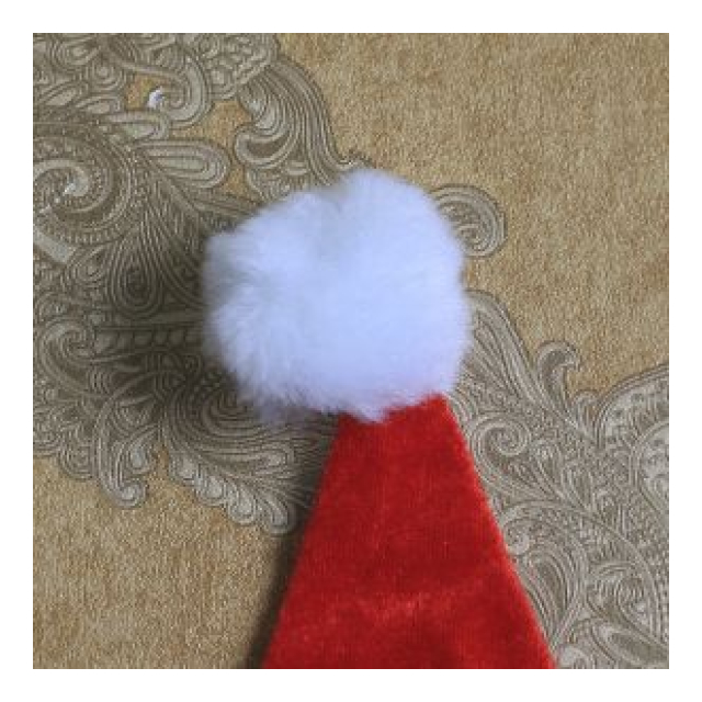 photo7