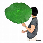 葉っぱ 直径約60cm/40cm【傘/ハスの葉/雨/かさ/カエル/コスプレ/仮装/イベント/ハロウィン】