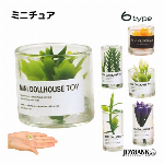 ［ミニチュア］テラリウム 植物★6type【模型/ドールハウス/ミニフィギュア/玩具/インテリア】