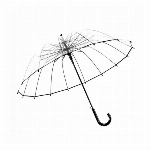 8本骨 透明傘 頑丈なビニール傘 プレミアム おしゃれな長傘