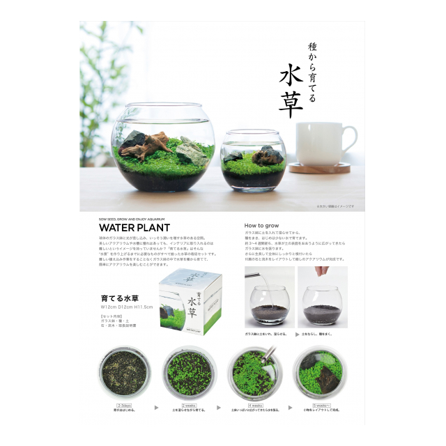 育てる水草栽培セット イガリインターナショナル 品番 の卸 問屋 仕入れ 卸売り ザッカネット 育てる水草栽培セット イガリインターナショナル 品番 の卸 問屋 仕入れ 卸売り ザッカネット